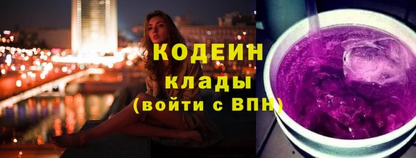 дмт Кодинск