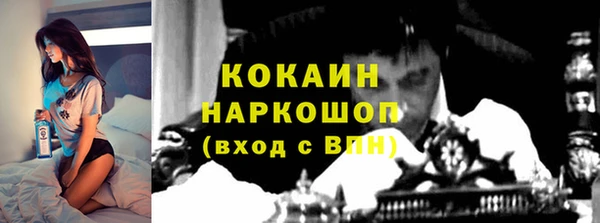 дмт Кодинск