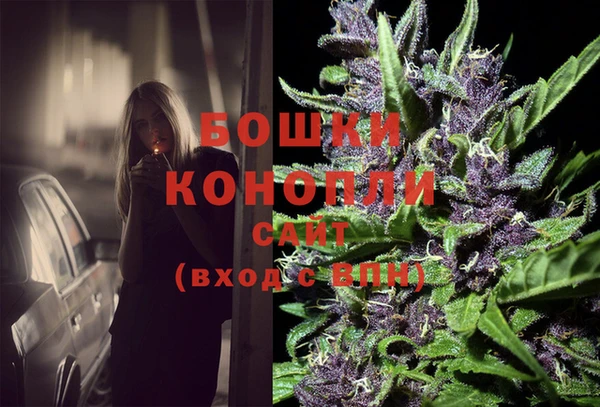 дмт Кодинск