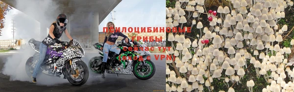 mix Козельск