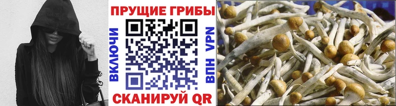 Галлюциногенные грибы Magic Shrooms  сколько стоит  Тында 